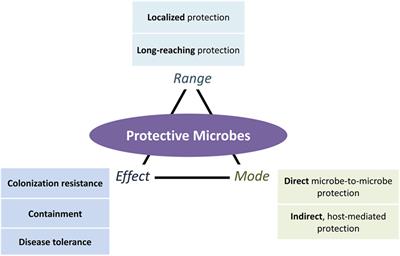 Protective Microbiota: From Localized to Long-Reaching Co-Immunity